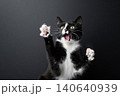 funny looking tuxedo cat making shocked facial expression 140640939