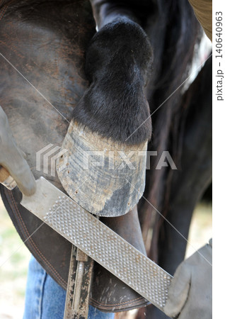 farrier farrier 140640963