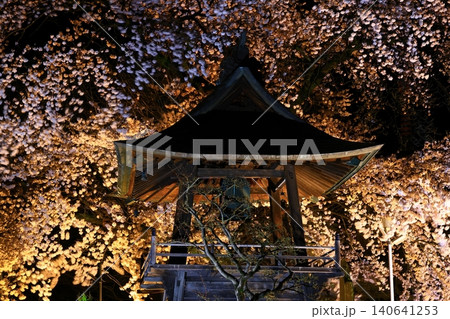 夜の桜のある風景 夜の桜のある風景 140641253