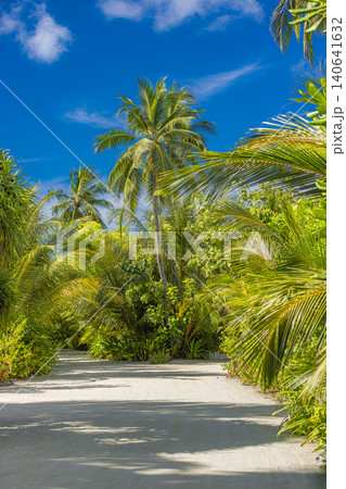 Soft white sand path winding through swaying palm trees under a clear blue tropical sky. Serene island resort garden scene. Peaceful outdoor nature landscape with lush greenery. Inspirational summer 140641632