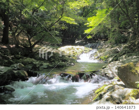 静岡県 新緑の森を流れる清流 5月 静岡県 新緑の森を流れる清流 5月 140641873