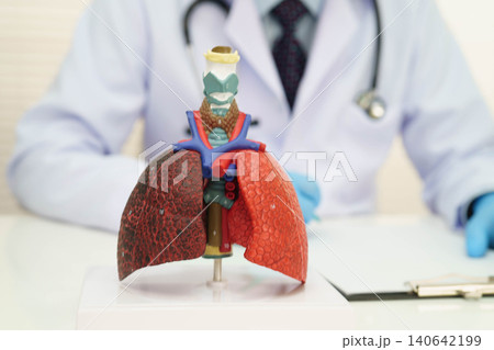 Pneumonia, lung cancer, Asian doctor with human lung model. Pneumonia, lung cancer, Asian doctor with human lung model. 140642199