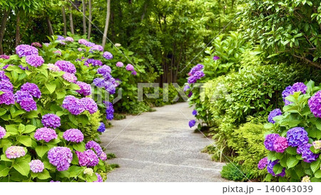紫陽花のある道 紫陽花のある道 140643039