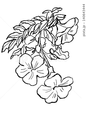 咲き誇るノウゼンカズラの花の手描きの線画イラスト 140643444