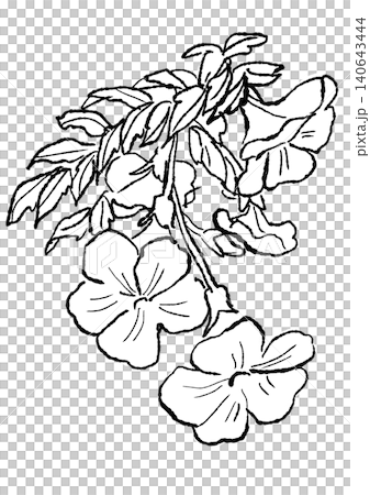 咲き誇るノウゼンカズラの花の手描きの線画イラスト 140643444