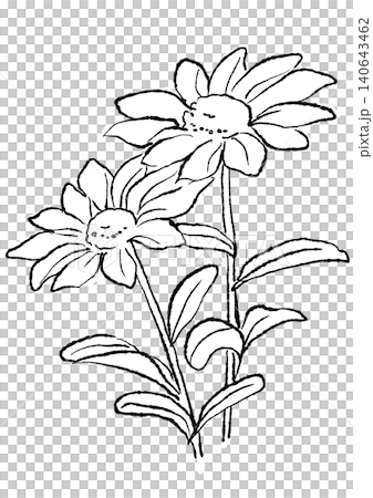 咲き誇るルドベキアの花の手描きの線画イラスト 咲き誇るルドベキアの花の手描きの線画イラスト 140643462