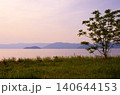 夕暮れの琵琶湖と一本の木が映える静かな湖畔風景 140644153