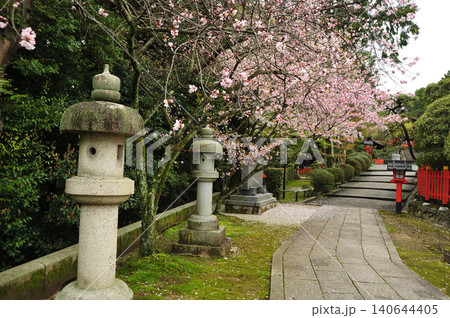 春の建勲神社 春の建勲神社 140644405