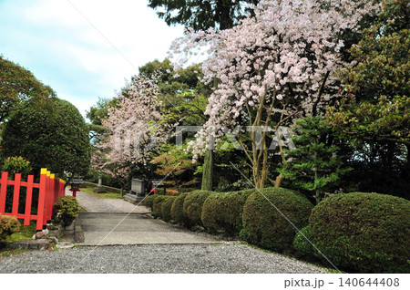 春の建勲神社 140644408