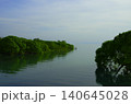 琵琶湖の静かな湖岸と新緑の森の風景 140645028