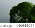 琵琶湖の静かな湖岸と新緑の森の風景 140645029
