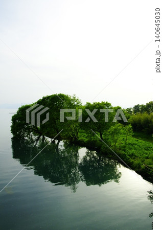 琵琶湖の静かな湖岸と新緑の森の風景 140645030