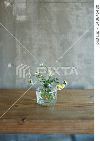 小さなガラスの花瓶に生けたカモミールの花 小さなガラスの花瓶に生けたカモミールの花 140645480