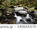森をバックに沢山の石の間を流れる白い沢 140645676