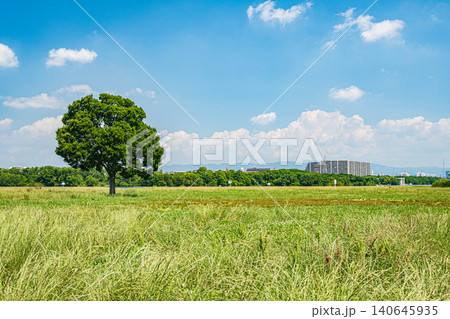 淀川河川公園太子橋地区　大阪市 140645935