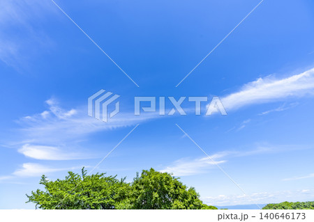 初夏の青空と雲と樹木 初夏の青空と雲と樹木 140646173