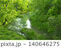 新緑に包まれた静かな湿地の小川 140646275