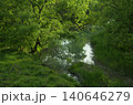 新緑に包まれた静かな湿地の小川 140646279