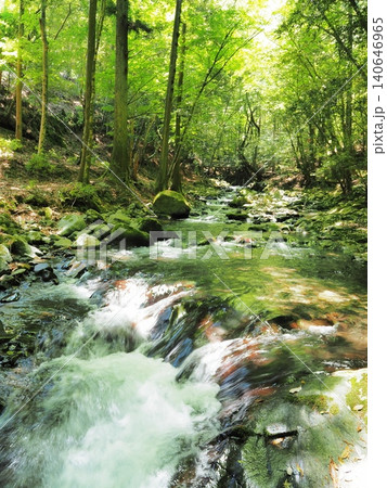 静岡県 新緑が美しい滑沢渓谷 5月 静岡県 新緑が美しい滑沢渓谷 5月 140646965