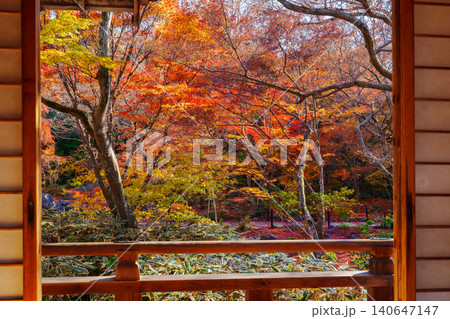 京都 宝筐院の紅葉 京都 宝筐院の紅葉 140647147