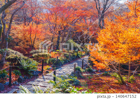 京都 宝筐院の紅葉 京都 宝筐院の紅葉 140647152