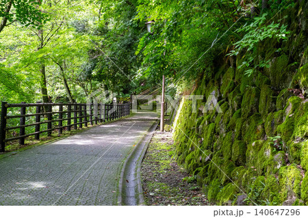 新緑の山道 140647296