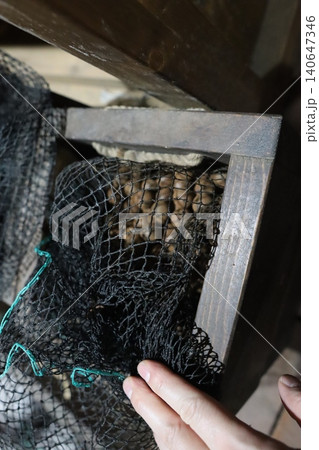 Hand Holding Coffee Bean Mesh Net in Wooden Box Hand Holding Coffee Bean Mesh Net in Wooden Box 140647346