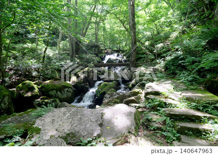 岐阜県高山市_宇津江四十八滝4_2025年6月 岐阜県高山市_宇津江四十八滝4_2025年6月 140647963