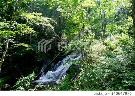 岐阜県高山市_宇津江四十八滝11_2025年6月 岐阜県高山市_宇津江四十八滝11_2025年6月 140647970