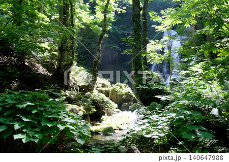 岐阜県高山市_宇津江四十八滝29_2025年6月 140647988
