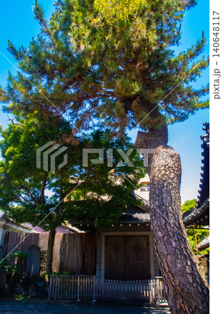 下御霊神社 御霊信仰のご利益：病気平癒,厄除,家内安全,交通安全 140648117