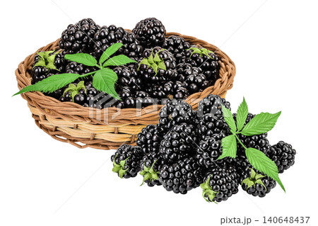 blackberry with leaf in in a wicker basket isolated on a white background closeup. 140648437