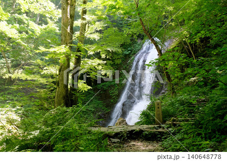 岐阜県高山市_宇津江四十八滝_王滝19_2025年6月 岐阜県高山市_宇津江四十八滝_王滝19_2025年6月 140648778
