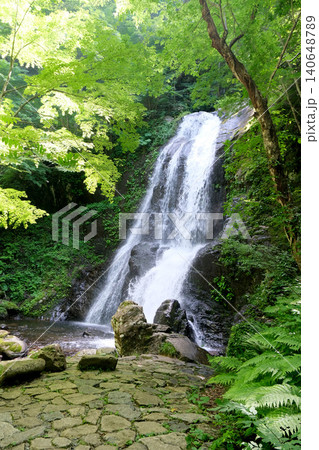 岐阜県高山市_宇津江四十八滝_王滝9_2025年6月 岐阜県高山市_宇津江四十八滝_王滝9_2025年6月 140648789