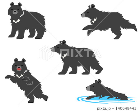 クマのイラストセット クマのイラストセット 140649443