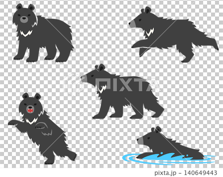 クマのイラストセット クマのイラストセット 140649443