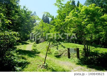 岐阜県高山市_四十八滝高原23_2025年6月 岐阜県高山市_四十八滝高原23_2025年6月 140649623