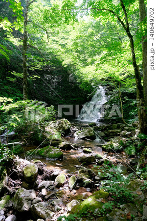 岐阜県高山市_宇津江四十八滝_梵音滝2_2025年6月 140649702