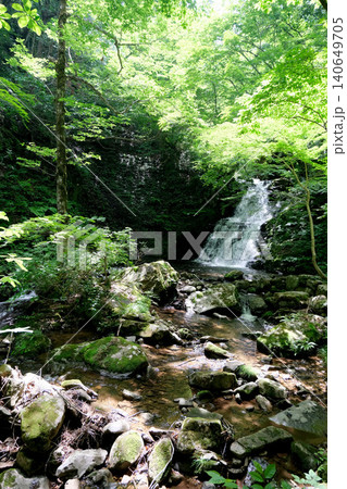 岐阜県高山市_宇津江四十八滝_梵音滝5_2025年6月 岐阜県高山市_宇津江四十八滝_梵音滝5_2025年6月 140649705