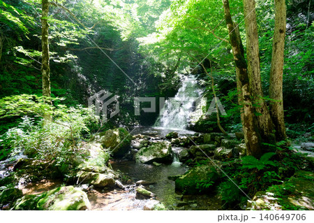 岐阜県高山市_宇津江四十八滝_梵音滝6_2025年6月 岐阜県高山市_宇津江四十八滝_梵音滝6_2025年6月 140649706