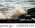 陽光の中で岩場に砕ける波しぶき 140650190