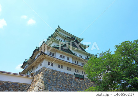 愛知県名古屋市、新緑と名古屋城の風景 愛知県名古屋市、新緑と名古屋城の風景 140650217