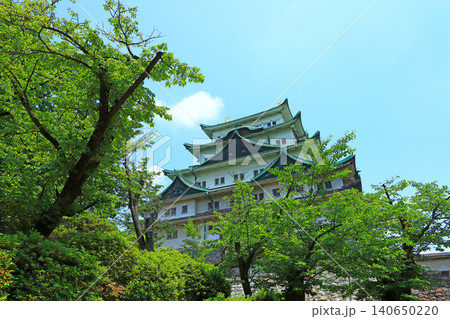 愛知県名古屋市、新緑と名古屋城の風景 140650220