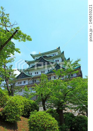 愛知県名古屋市、新緑と名古屋城の風景 愛知県名古屋市、新緑と名古屋城の風景 140650221