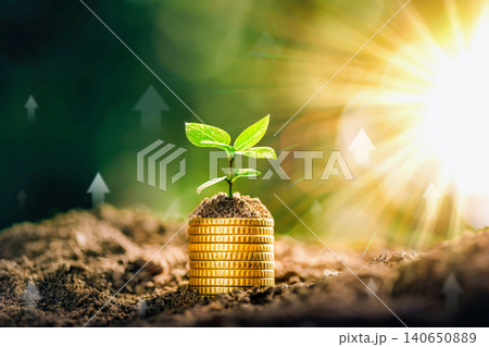 Growing Money - Plant On Coins - Finance And Investment Concept. The seedlings are growing on the coins placed on the ground, thinking about financial growth. Savings Coins. Interest Concept. Growing Money - Plant On Coins - Finance And Investment Concept. The seedlings are growing on the coins placed on the ground, thinking about financial growth. Savings Coins. Interest Concept. 140650889