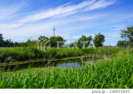ヘラブナ広場の奥の方の沼を見て(岩見沢市北村・北村中央公園) ヘラブナ広場の奥の方の沼を見て(岩見沢市北村・北村中央公園) 140651043