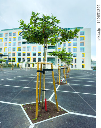 Trees planted in a parking lot near a modern building during the day showing growth and urban landscaping efforts 140651292