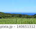 白い小さな灯台とサトウキビ畑　沖縄県国頭村安田 140651312