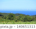 白い小さな灯台とサトウキビ畑　沖縄県国頭村安田 140651313