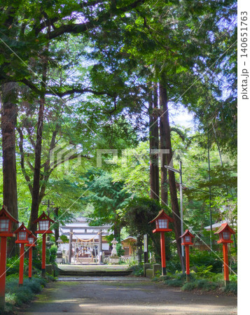 大杉に守られた神社参道と赤い燈籠 緑のトンネル 縦位置【大神神社/栃木】 大杉に守られた神社参道と赤い燈籠 緑のトンネル 縦位置【大神神社/栃木】 140651763